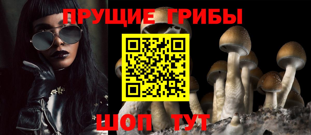 Новотроицк  Галлюциногенные грибы Cubensis  Вход с VPN 